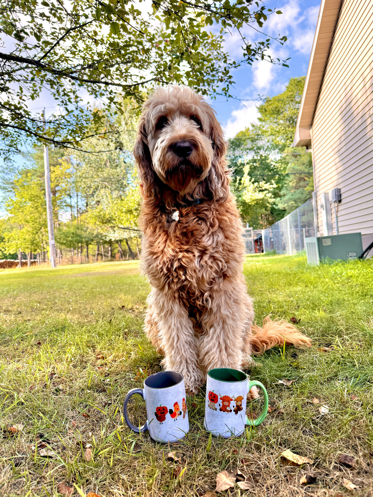 Fall Farm Mugs