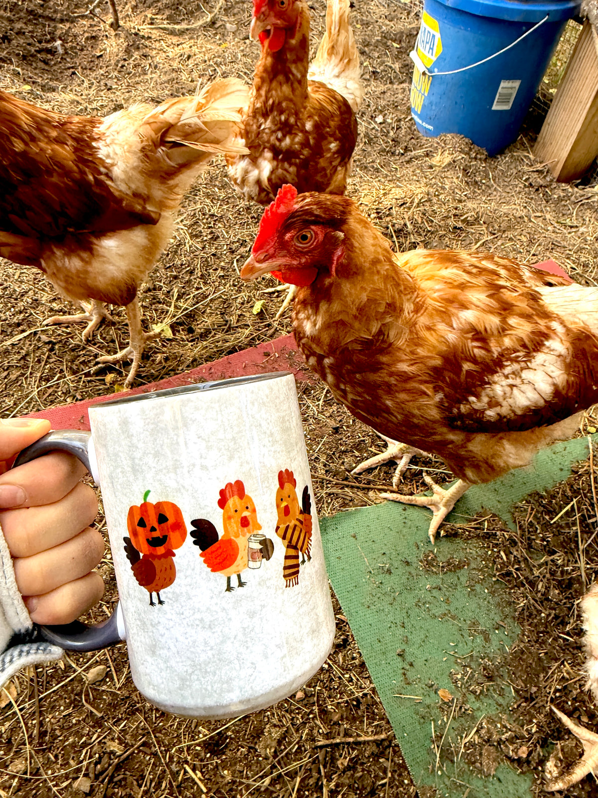 Fall Farm Mugs
